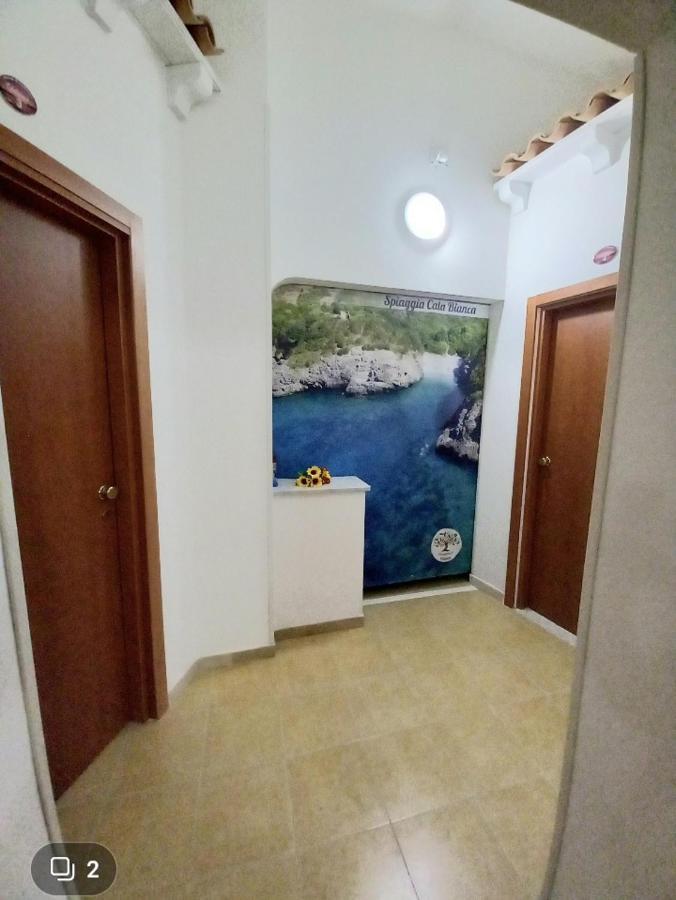 Hotel Cialoma Marina di Camerota Esterno foto