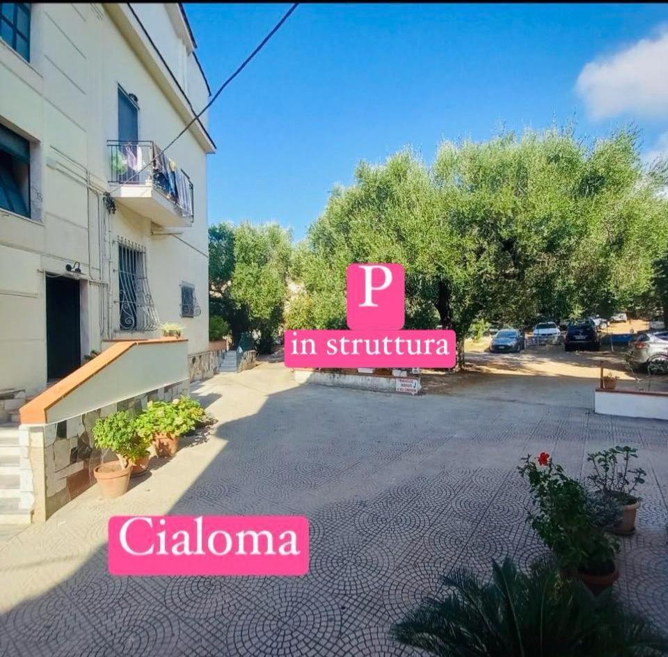 Hotel Cialoma Marina di Camerota Esterno foto